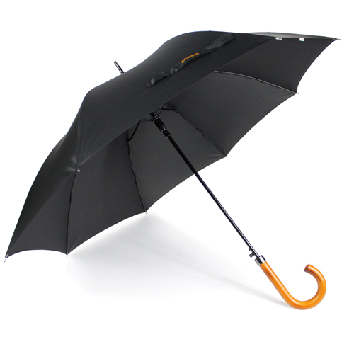 The City Walker Black Umbrella