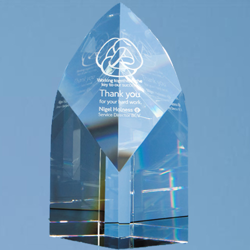 20cm Optic Arch Award